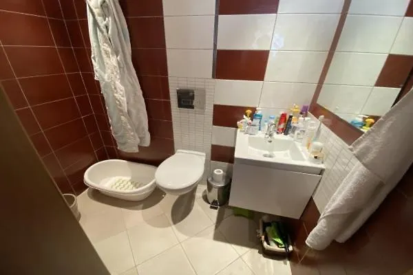 Lovely 1-bedroom With Mountain View