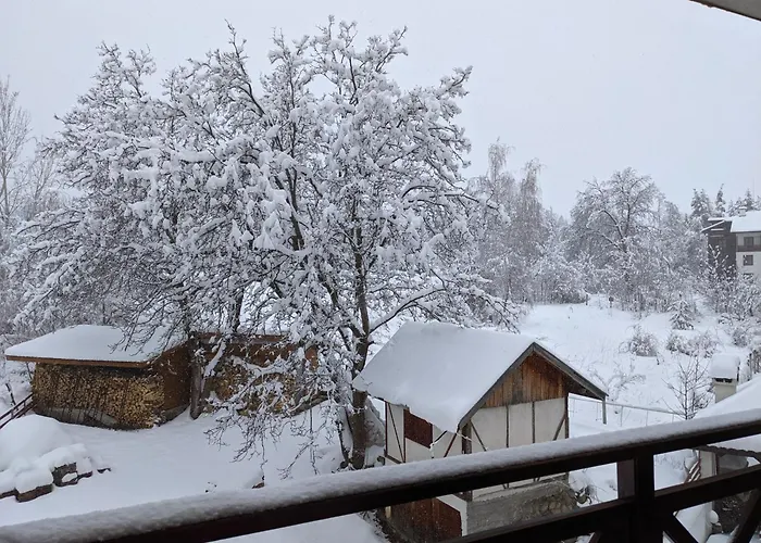 Apartman Lovely 1-bedroom With Mountain View Banszko